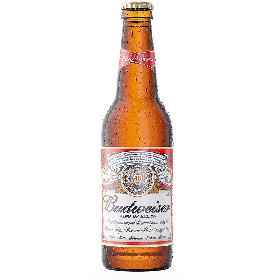 Budweiser Beer Dewy